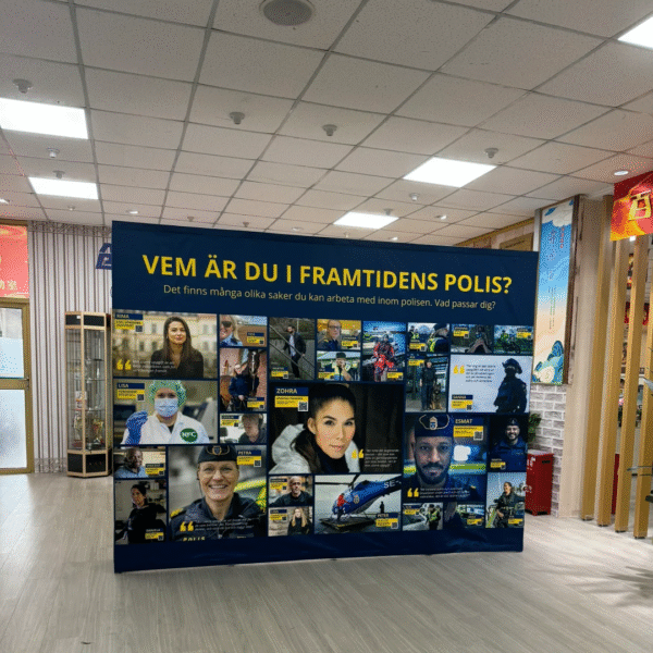 Pop Up Display - Image 2