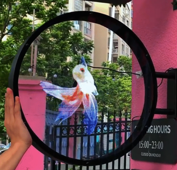 Holographic Fan Display Signage - Image 3